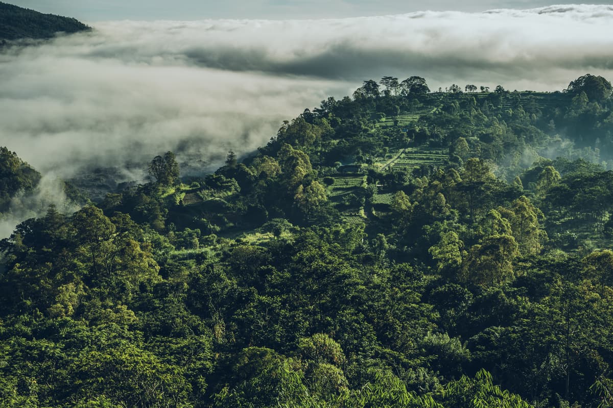 How clean cooking stoves could save millions of lives