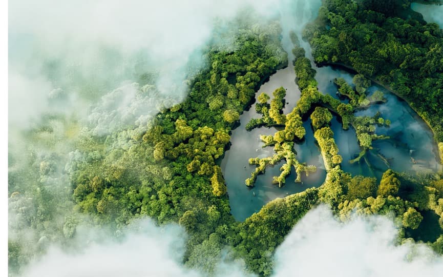 Clean Cooking Reduces The Amount Of Time That Women Spend Collecting Firewood